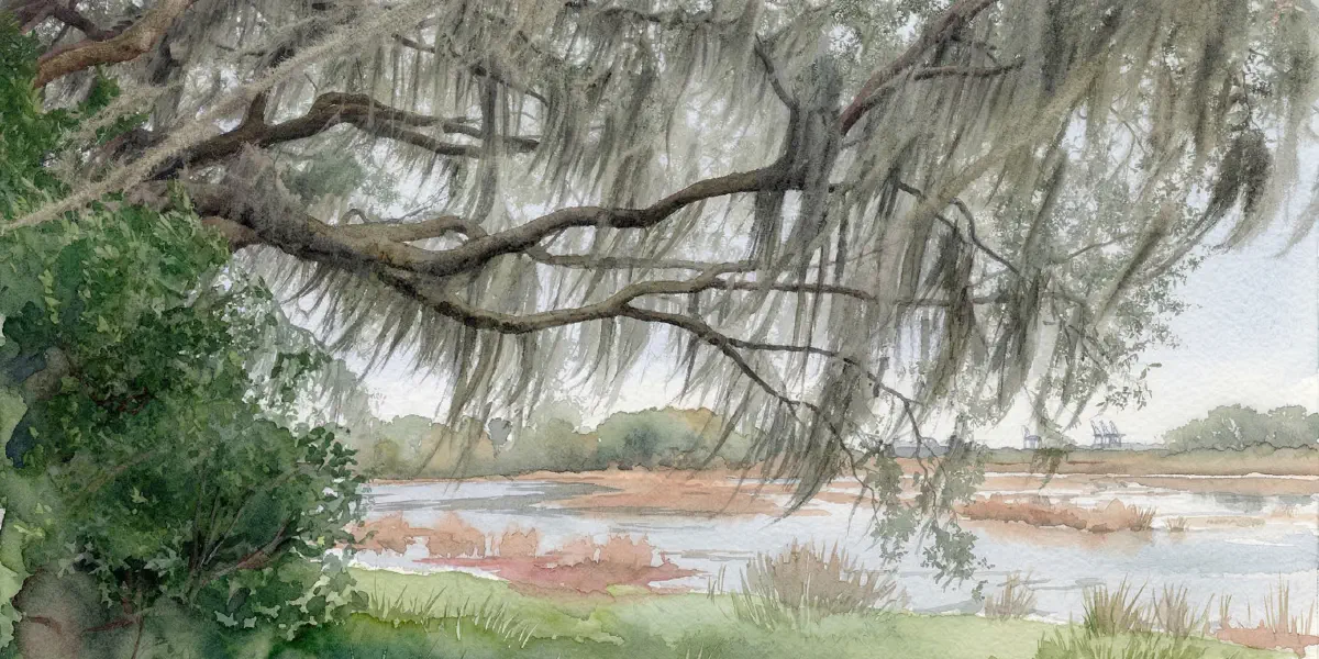 The Tides That Bind: How the Lowcountry Marshes Protect and Define Us