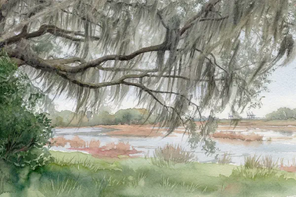 The Tides That Bind: How the Lowcountry Marshes Protect and Define Us