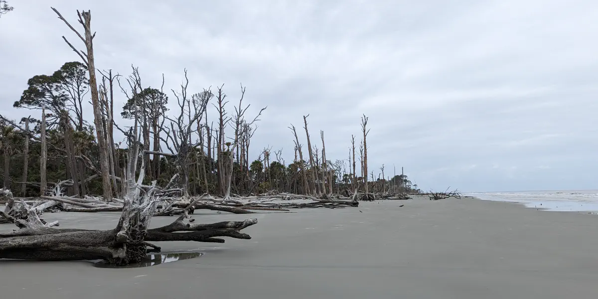 Beaufort & the Sea Islands: Lowcountry Soul