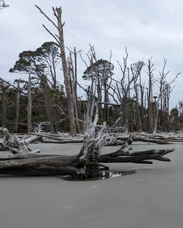 Beaufort & the Sea Islands: Lowcountry Soul