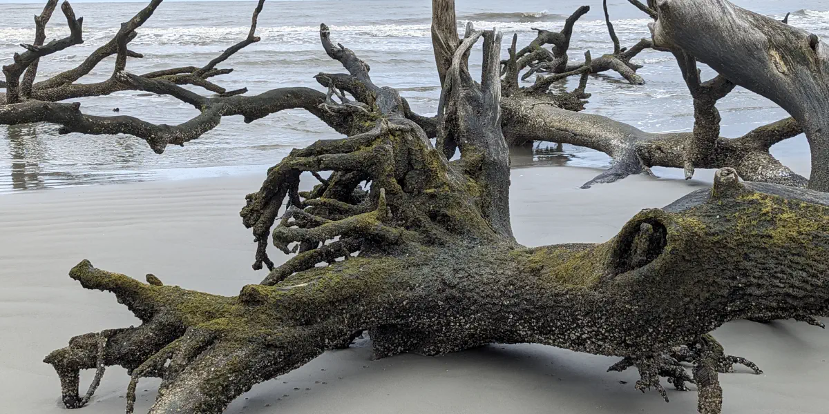 Hunting Island State Park & Lighthouse