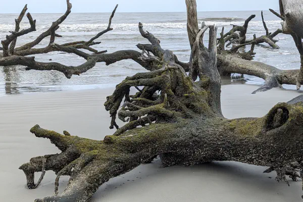 Hunting Island State Park & Lighthouse